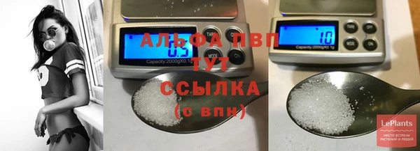 apvp Вязьма
