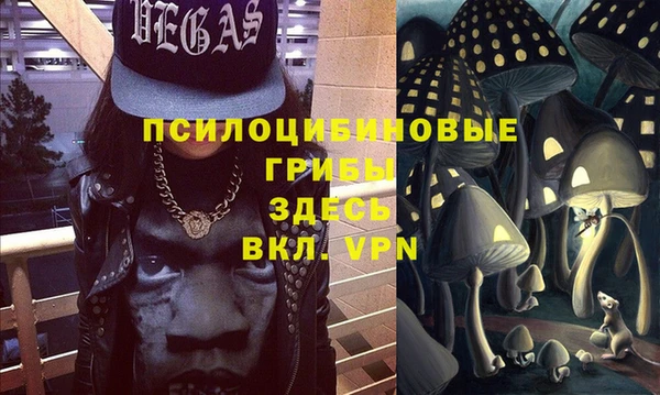 apvp Вязьма