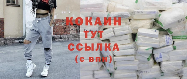 apvp Вязьма