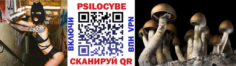 Псилоцибиновые грибы мухоморы Липецк